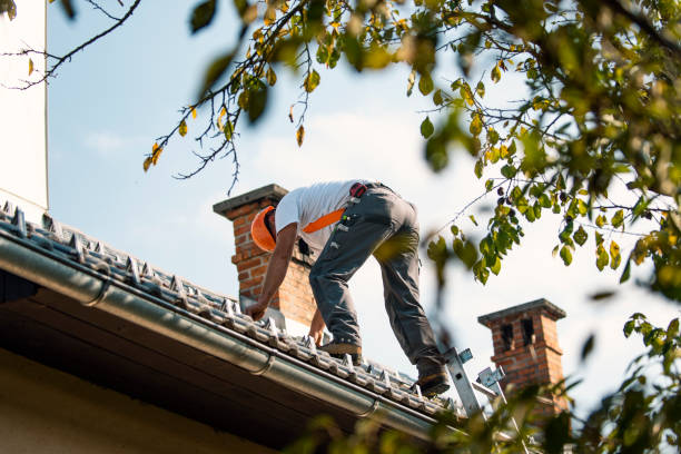 Tile Roofing Contractor in Lake Camelot, IL