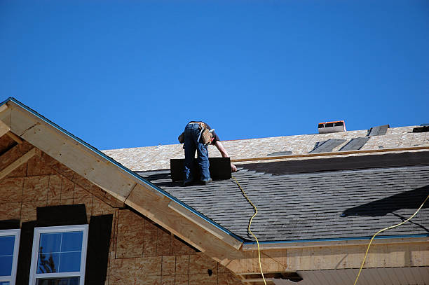 Best Flat Roof Repair Services  in Lake Camelot, IL
