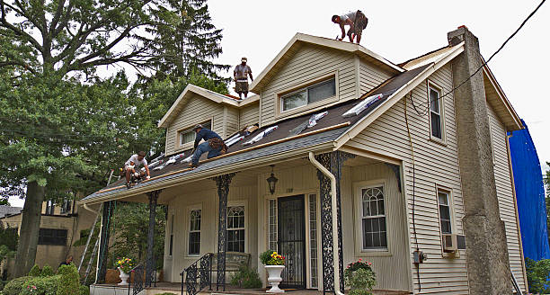 Best Roof Repair Services  in Lake Camelot, IL